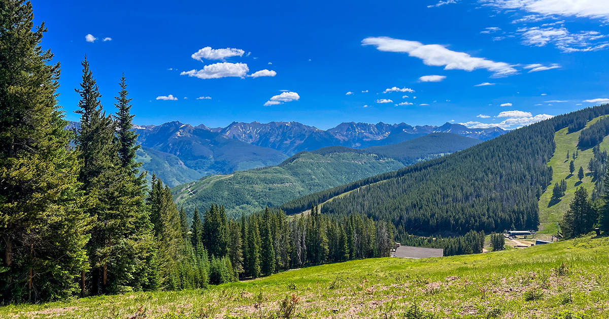 A Vail’s Summer Day