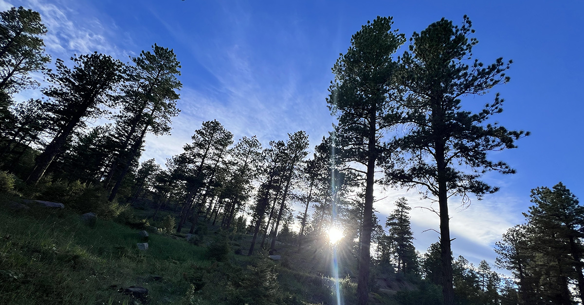 Buffalo Creek Camping Chillout