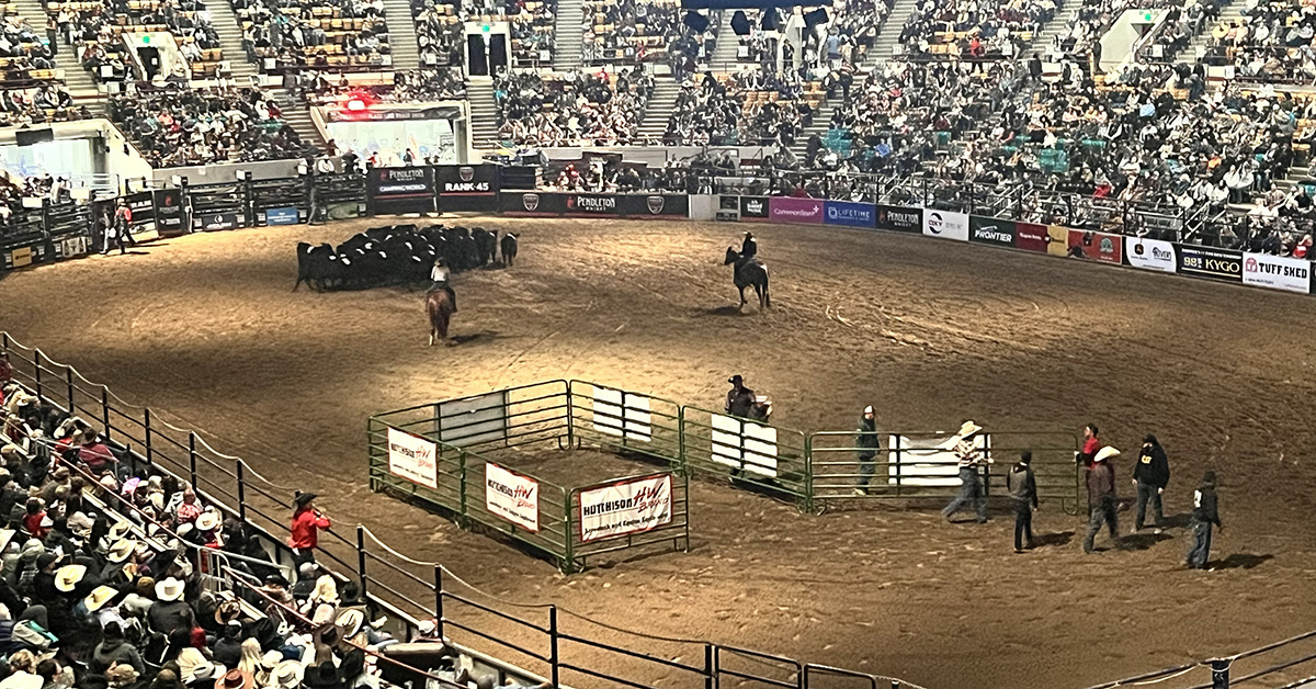 National Western Stock Show