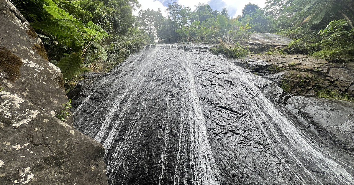 El Yunque: Puerto Rico’s Rain Forest