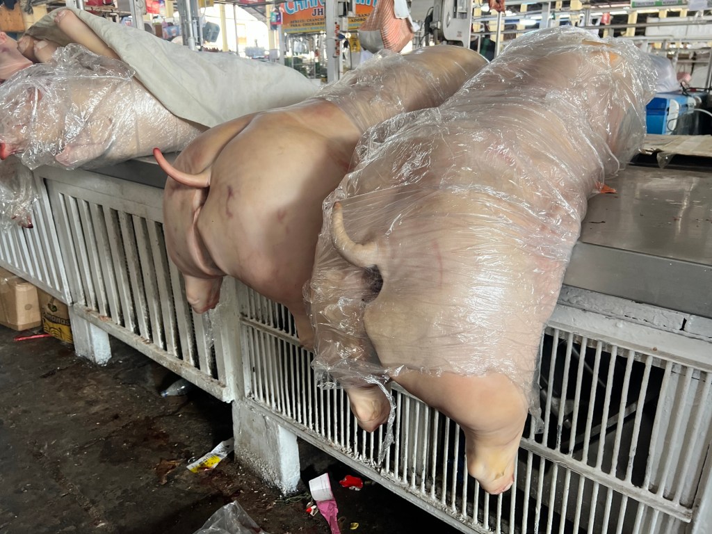 Pigs wrapped in plastic displayed at a market.