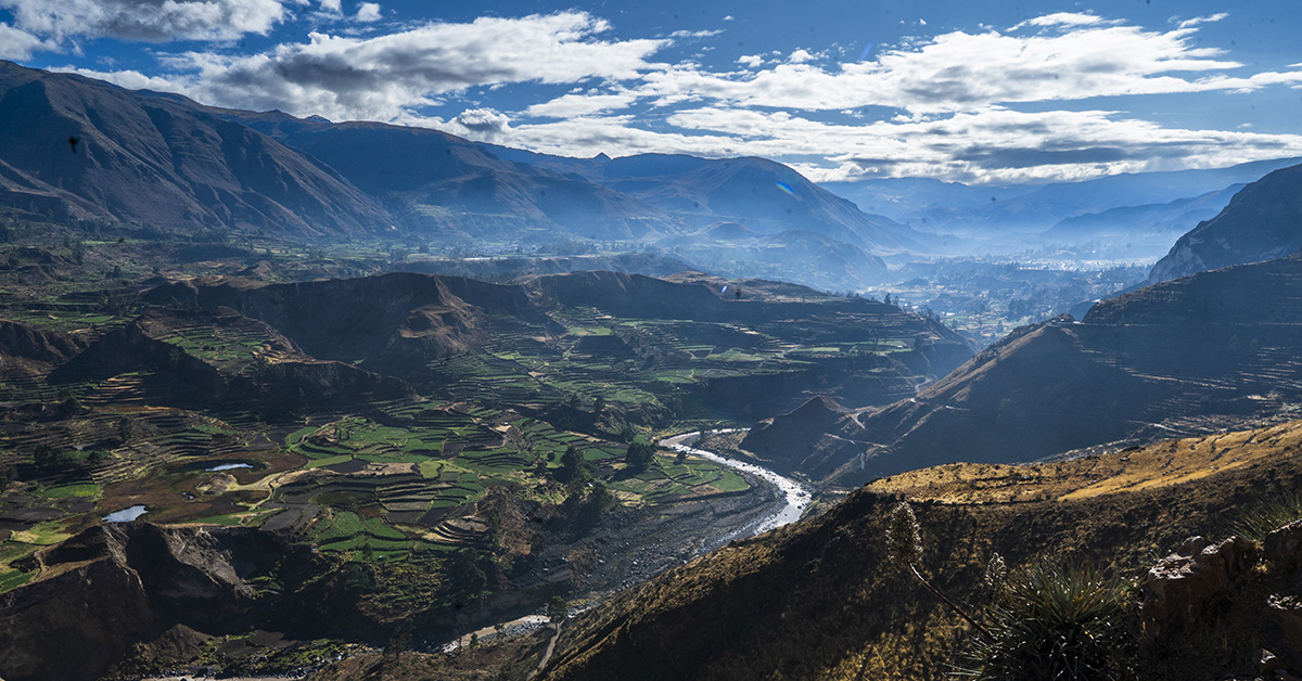 Is it Worth the Climb? Staying in Colca Canyon’s Secret Hostels (Peru Hiking Guide)