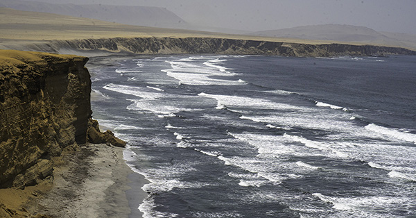 Coastal Peru Adventure: Ballestas Islands and Paracas National Preserve